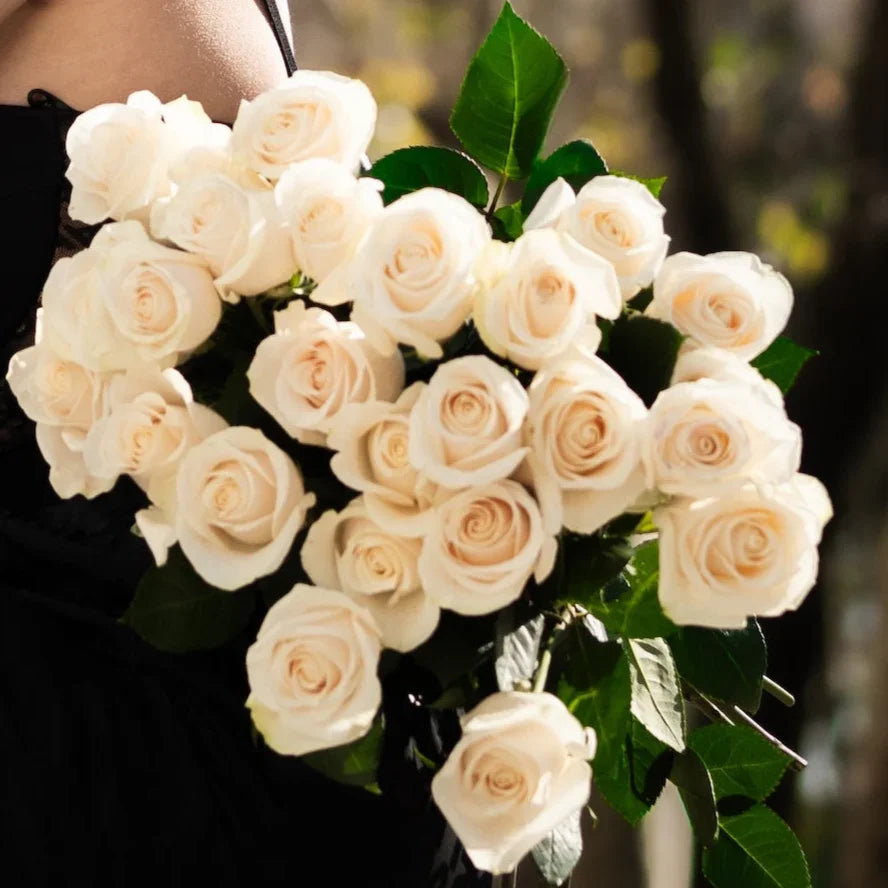 Imagem de rosas brancas numa rua de Lisboa, com modelo a segurá-las