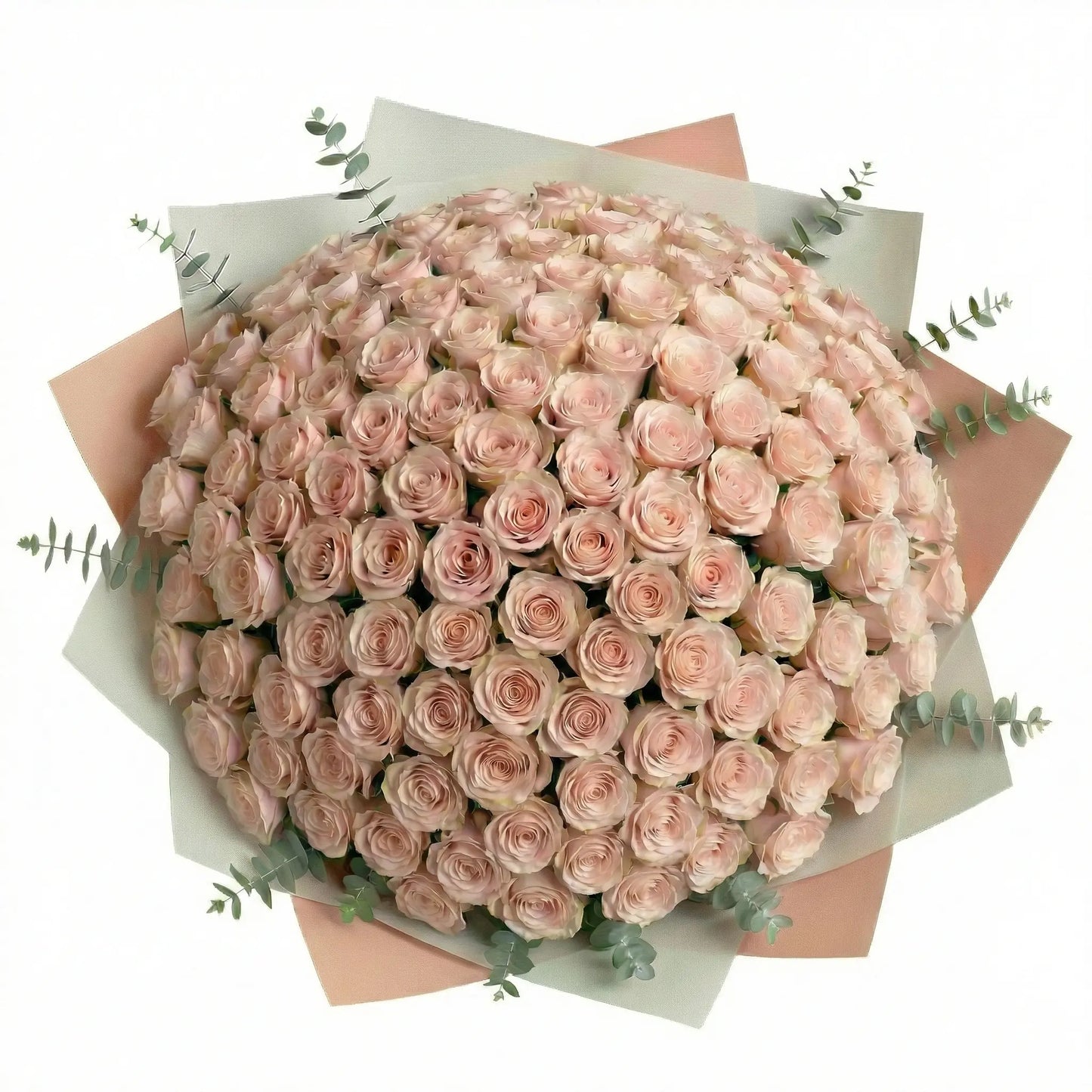 Ramo de Alta Gama de 100 Rosas Cor-de-Rosa