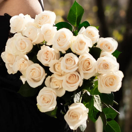 Imagem de rosas brancas numa rua de Lisboa, com modelo a segurá-las