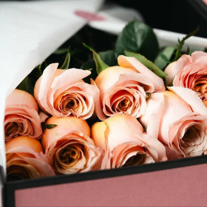 Buquê de rosas cor de pêssego premium em caixa de luxo - QRoses