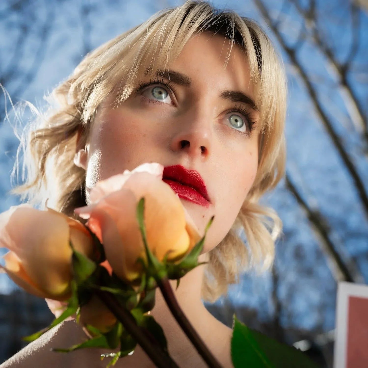 Buquê de rosas cor de pêssego premium em caixa de luxo - QRoses