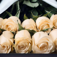 Caixa Premium de Rosas Brancas